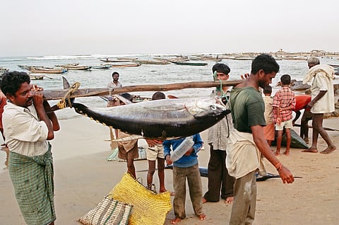 Fishermen at Lawson's Bay Colony, a neighborhood along the north coast of Vishakapatnam