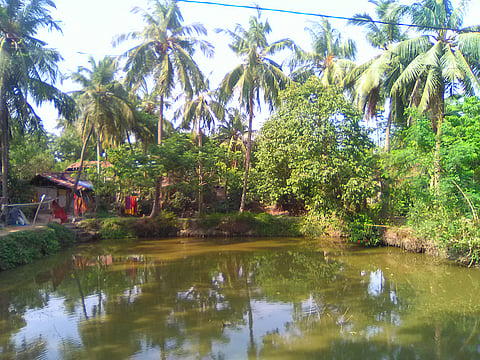 A pond in Haldia