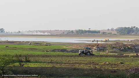 Farming on the riverbanks of Betwa River