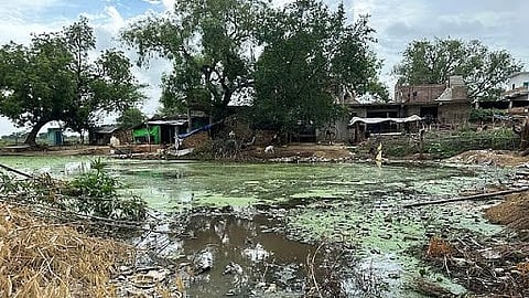 A pond in Dhardhapur village, which was once crowded with animals and frequented by people, has turned into a garbage dump.