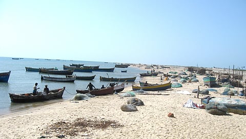 India's crowded coasts. 