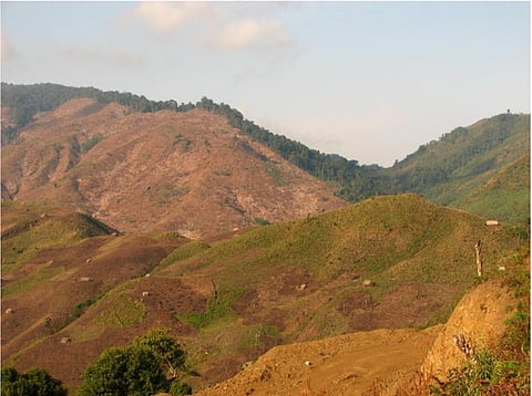 Jhum fields of Arunachal Pradesh