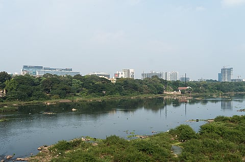 The Mula Mutha river at Pune.