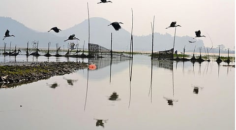 Deepor beel in Guwahati.