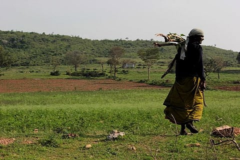 Many tribal communities such as the Kurumbas, Sholigas and Irulas, large population of scheduled caste, and other communities reside in or around protected areas (PAs)