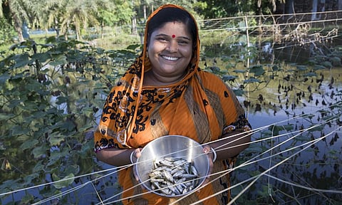 Overfishing and habitat decline threaten the Hooghly–Matlah Estuary