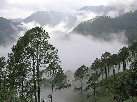 Fog covered hills in Nainital. Researchers have identified several high altitude zones in Pithoragarh where fog harvesting could strengthen drinking water security for mountain communities. 