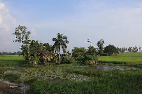 A farm on an island in the Ganges delta, Sundarban area (Credit: Arne Hückelheim)