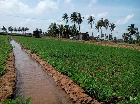 Irrigation and rainfed crops in India. Image Source: Seratobikiba via Wikimedia Commons.