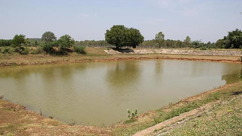 A small tank near Thalambedu in Kanchipuram (Image Source: India Water Portal)