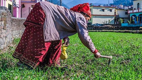 The Economic Survey 2021 pushes for urgent reforms in production and post production in agriculture (Image: PixaHive)