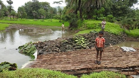 Dahanu, a green zone enjoyed special protection since 1991 (Image: nathview.blogspot.com)