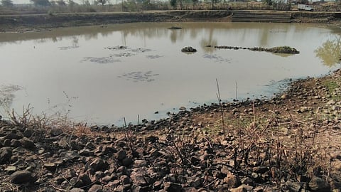 The efforts have resulted in the revival of the ponds. (Image: FES)