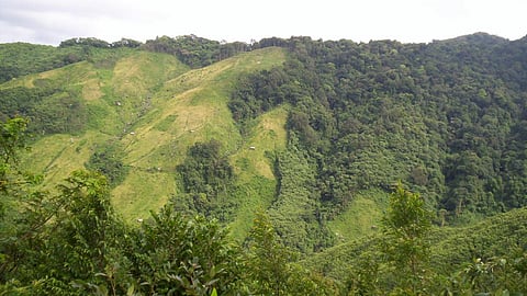 Jhum cultivation in Nokrek biosphere reserve, Meghalaya (Image: Wikimedia Commons, CC BY 2.0)