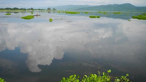 Deepor Beel is a freshwater lake in Assam (Source: IWP Flickr links)