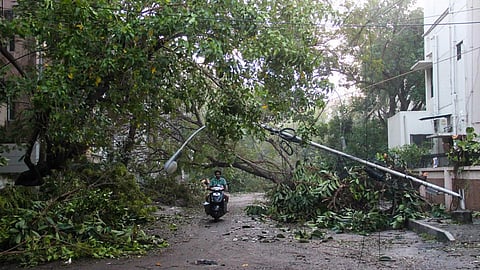 Fallen lampost and trees lay sprawled across the road after a cyclone (Image Source: IWP Flickr Photos)