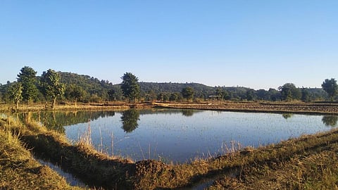 Collective efforts revived the canal structure of Bichhiya dam bringing water to the village (Image: Foundation for Ecological Security)