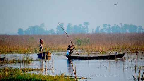 Ramsar Site: Kabartal Wetland (Site no. 2436) - Kabartal Wetland, also known as Kanwar Jheel, covers 2,620 hectares of the Indo-Gangetic plains in the northern Bihar State. The Site is one of 18 wetlands within an extensive floodplain complex; it floods during the monsoon season to a depth of 1.5 metres. (Image: Credit: Wetlands International South Asia, 2015)