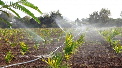 A key mitigation strategy to deal with water scarcity due to climate change is on-farm management of water using techniques like micro-irrigation (Image: India Water Portal Flickr)