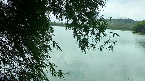 Pashan lake in Pune (Image Source: India Water Portal)