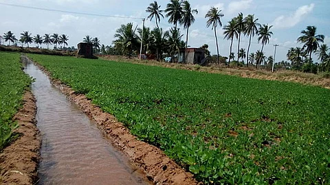 Peanut irrigation in India (Image Source: Seratobikiba via Wikimedia Commons)