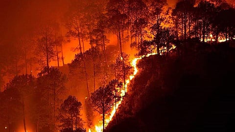 More than 275 million people in India are exposed to extreme forest fire events. (Image: Naveen N Kadalaveni, Wikimedia Commons)