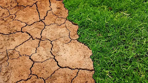 Building and strengthening the climate ecosystem in Asia (Image: Tumisu, Pixabay)