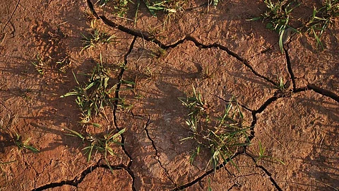 Every country can design and implement a tailored land restoration agenda to meet their development needs. (Image: PxHere)