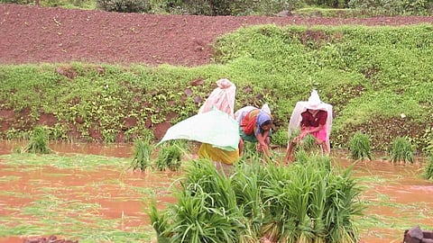 Stagnant waters can encourage mosquito breeding and increase risk of diseases (Image Source: India Water Portal)