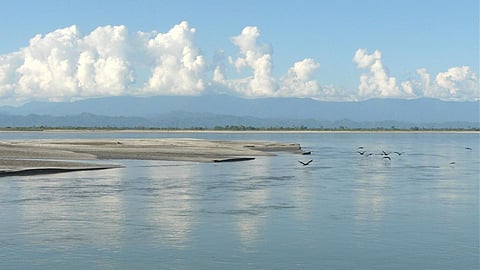 (Image: Rita Willaert, Flickr Commons)