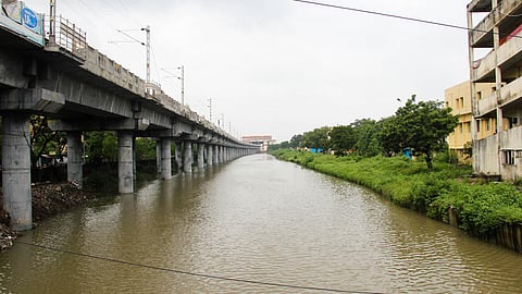 Buckingham canal near Kasturba Nagar, Adyar (Image: India Water Portal)