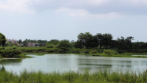 Natural spaces such as water bodies and vegetation in cities can act as sponges and absorb rain and prevent flooding (Image Source: IWP Flicker photos)