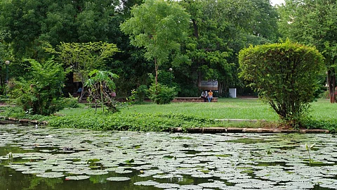 Study indicates that blue-green spaces in core-city and peripheral areas are differentially impacted by the growing urban footprint (Image: Emmanuel Dyan)