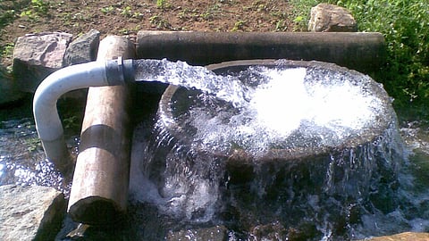 Over exploitation of groundwater is due to wide cultivation of water guzzler paddy and sugarcane crops (Image: Thamizhpparithi Maari, Wikimedia Commons)