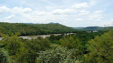 Cauvery river at Karnataka (Image Source: Ashwin Kumar via Wikimedia Commons)