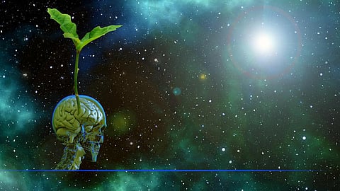 Ministry of Power & Ministry of Environment, Forests & Climate Change plans an Indian Carbon Market to mobilize investments for transition to low-carbon pathways (Image: Gerd Altmann, Pixabay)