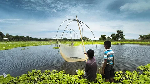 In 2016, a Standing Committee of Parliament pointed to the need to carry out a separate census of water bodies. (Image: Needpix)