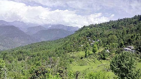 The sacred Thal Kedar forest is a common sacred center for people of different cultures, traditions, and beliefs (Image: Mini Mehta, eUttaranchal)