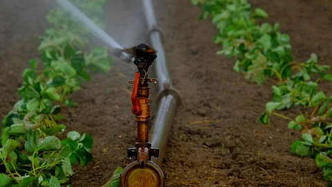 Micro-irrigation is considered to be up to 90 percent more efficient than flood irrigation (Image: Pixabay)
