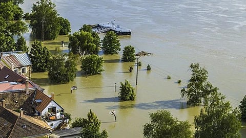 Green regulations and environmental warnings are often disregarded by our planners. (Image: Rawpixel, CC0)