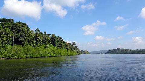 Committee to frame policy to protect islands (Image: PxFuel)