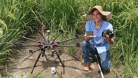 The use of drones for monitoring rice crops (Image: CIAT/NeilPalmer)