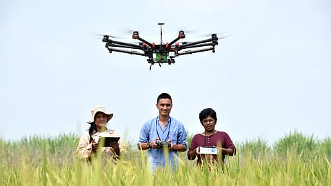 Investment in upstream innovations in Asia-Pacific region – those for the farm and primary production of novel foods – increased 24% year-over-year (Image: CIAT/Neil Palmer)