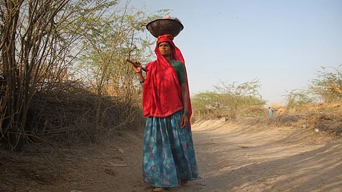 Women as trailblazers: Resilience, transformation, and breaking barriers on dual fronts (Image: ILRI/Mann; CC BY-NC-ND 2.0 DEED)