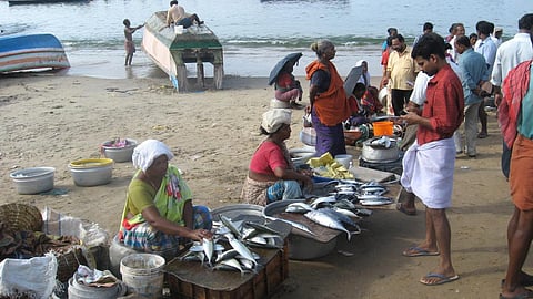 Fisherwomen selling fish in the markets (Image Source: India Water Portal Flickr photos)