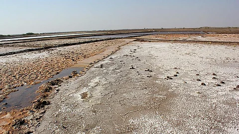 The little Rann of Kutch (Image Source: Nagarjun Kandukuru via Wikimedia Commons)