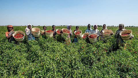 Farm women in India (Image Source: Asian Development Bank via Wikimedia Commons)