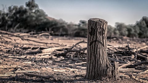 Global warming may increase the intensity and frequency of droughts in many areas (Image: Maher Najm; Flickr PDM 1.0 DEED)