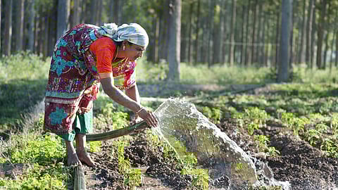 A farmer uses a hosepipe to irrigate crops at her farm in the Nilgiris mountains, Tamil Nadu (Image: IWMI Flickr Photos; CC BY-NC-ND 2.0 DEED)