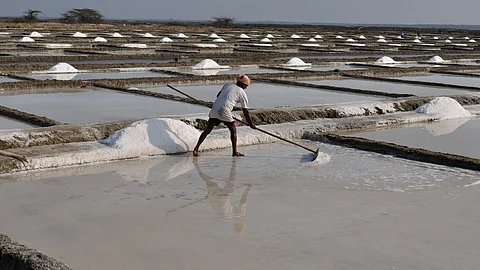 Salt pans of Marakkanam (Image Source: Wikimedia Commons)